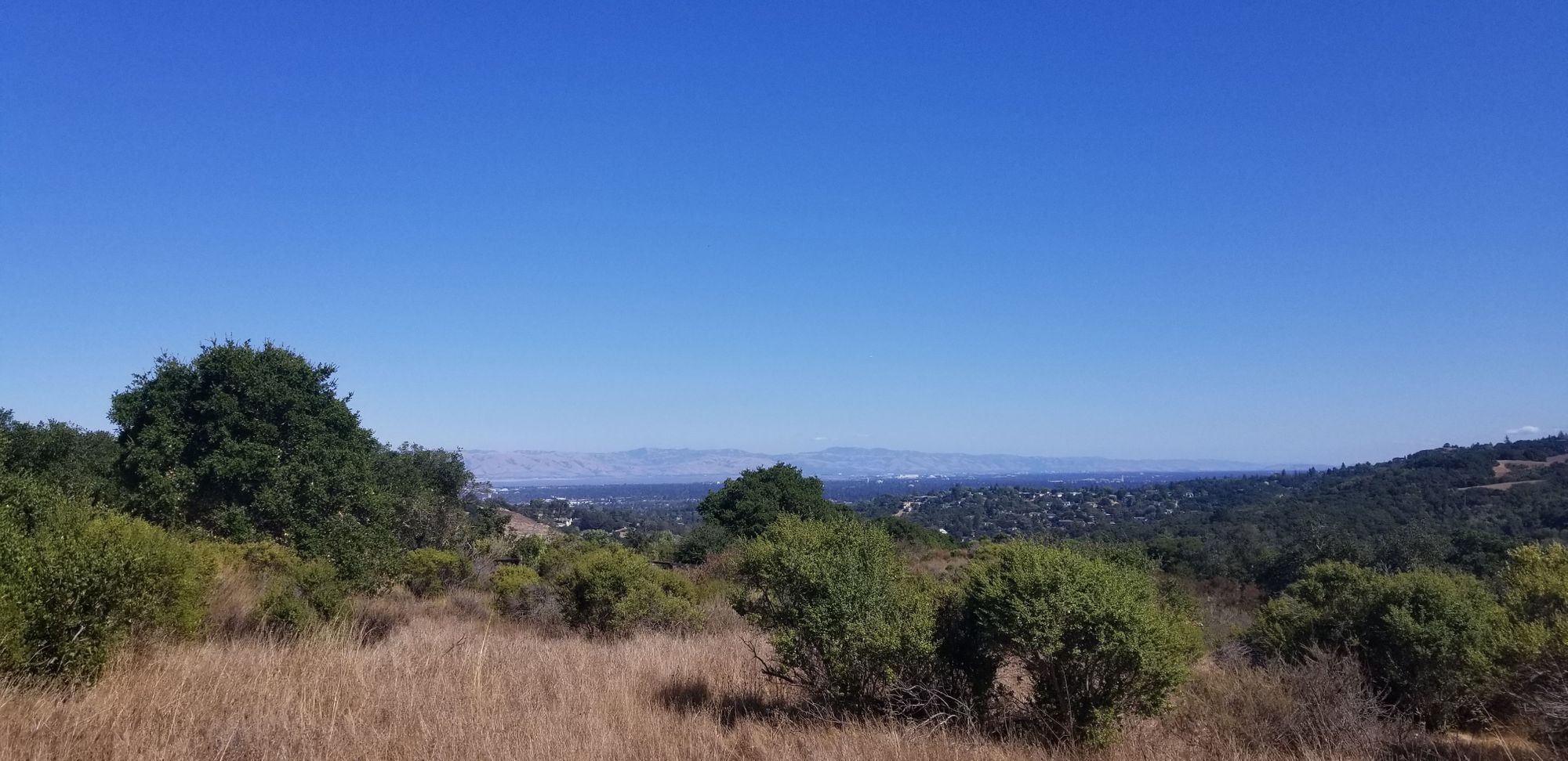 The bay from Pulgas Ridge PReserve