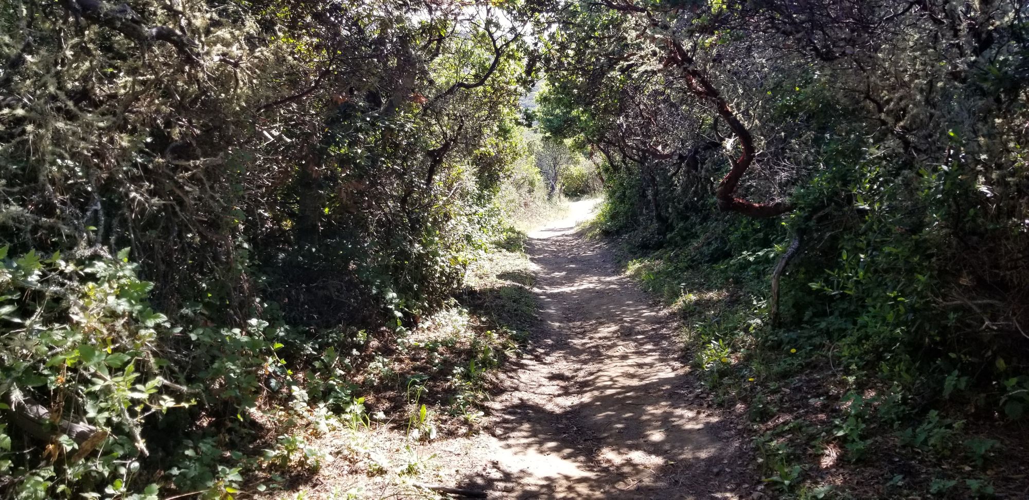 Taken on the Montara Mountain Trail