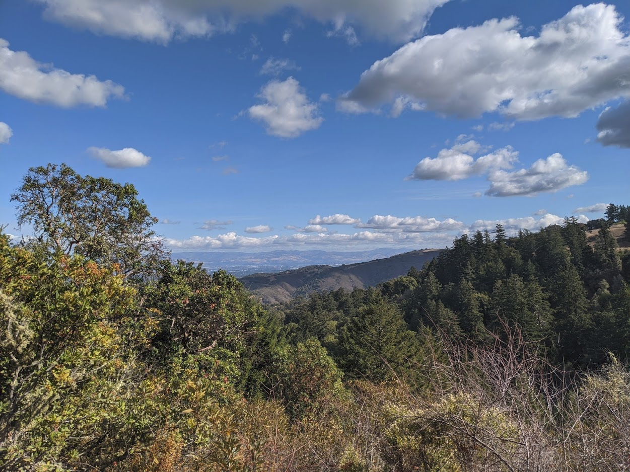 Looking eastward from a trail south of Windy Hill