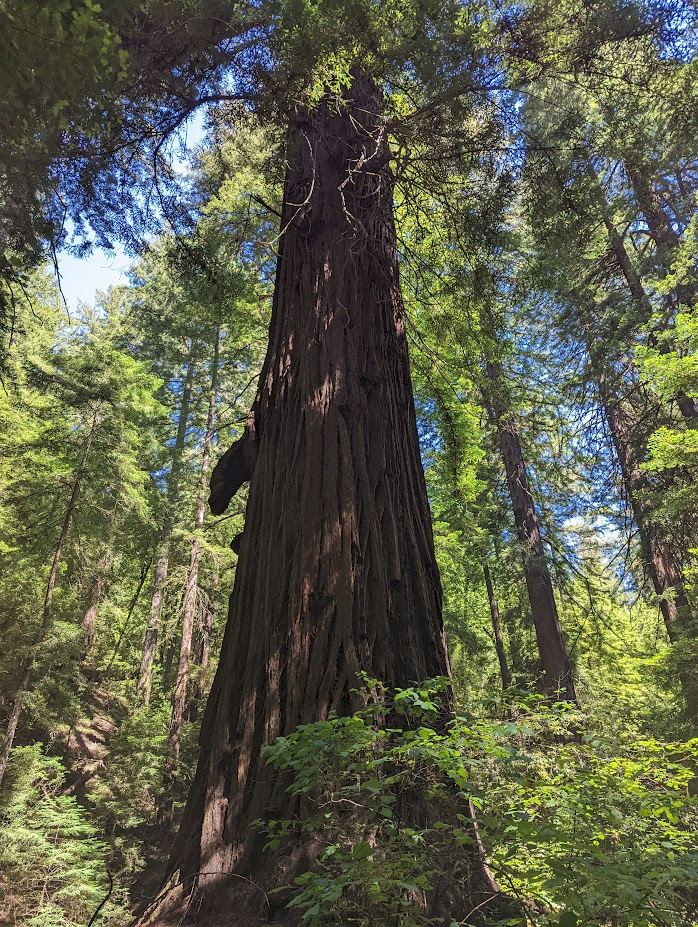 Hiking Peters Creek Loop